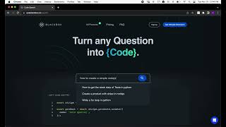 "A developer using BlackBox.ai, a code generator tool, to streamline the coding process with simplicity and efficiency."